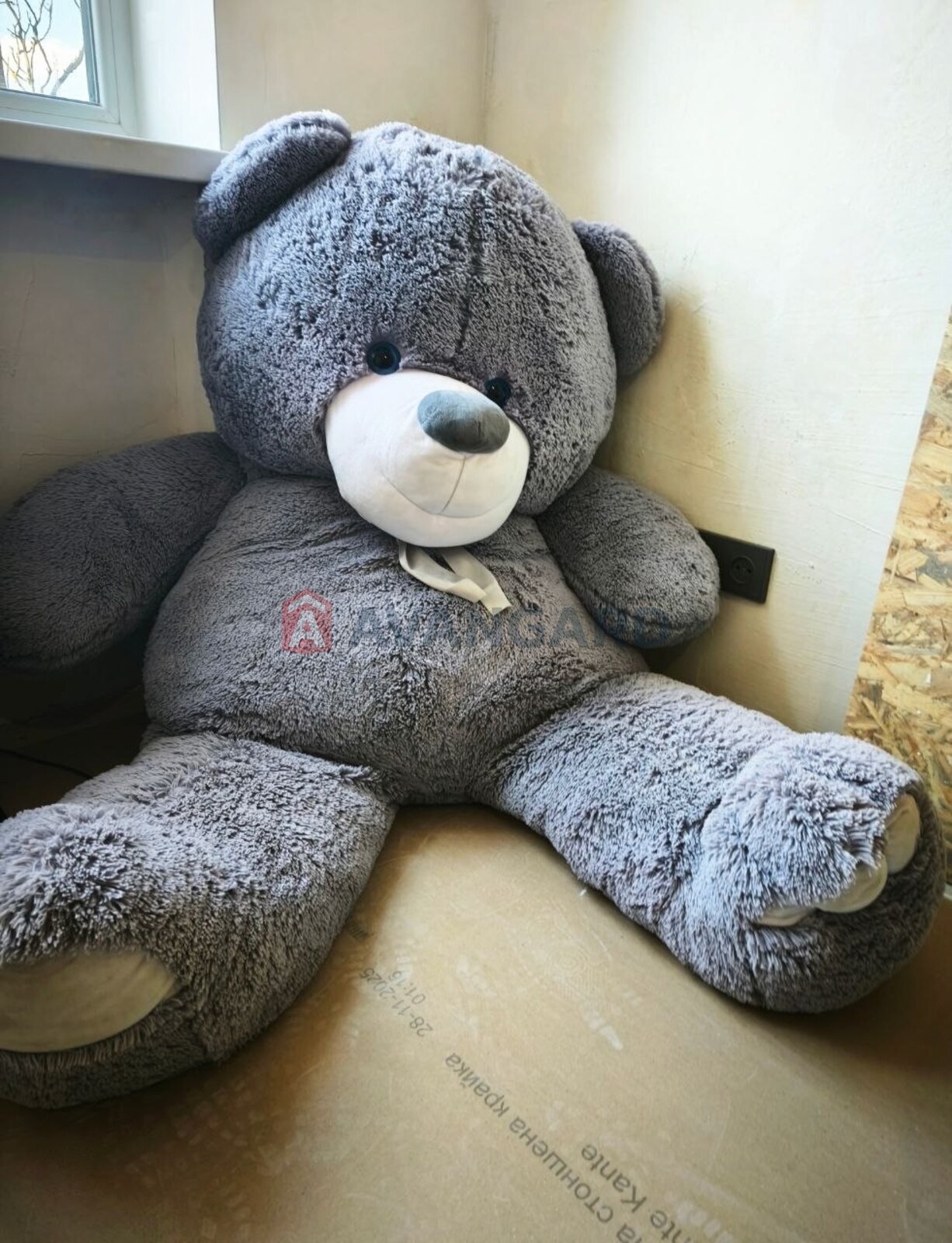 2 ����. ��������, 44,1/29/6,2 ��. �., 4/5 ���� ���� 1