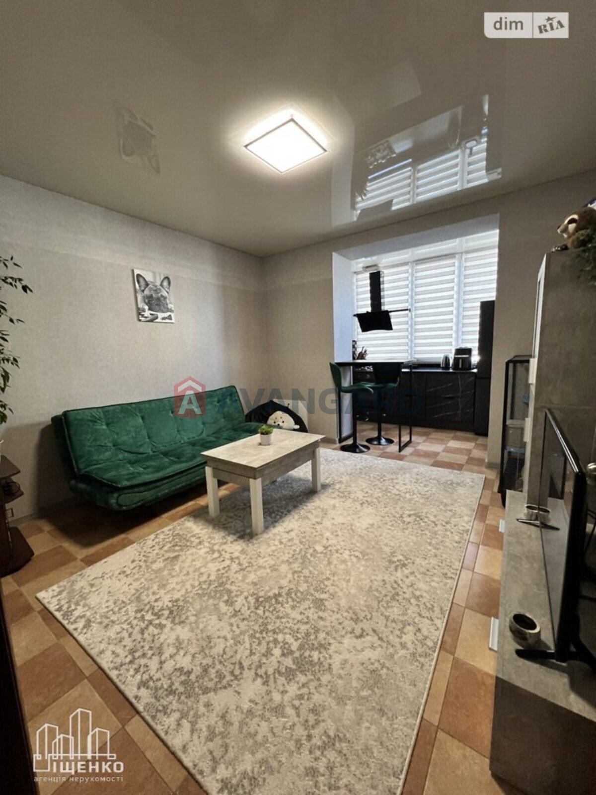 1 ��. ��������, 51/19/19 ��. �., 2/9 ������ ���� 9