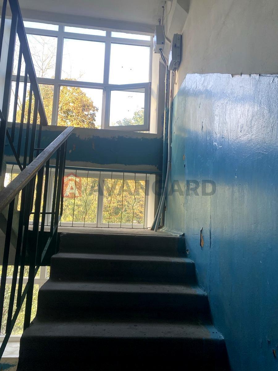 1 ��. ��������, 30 / 15.1 / 6.9 ��. �., 4/5 ������ ���� 8