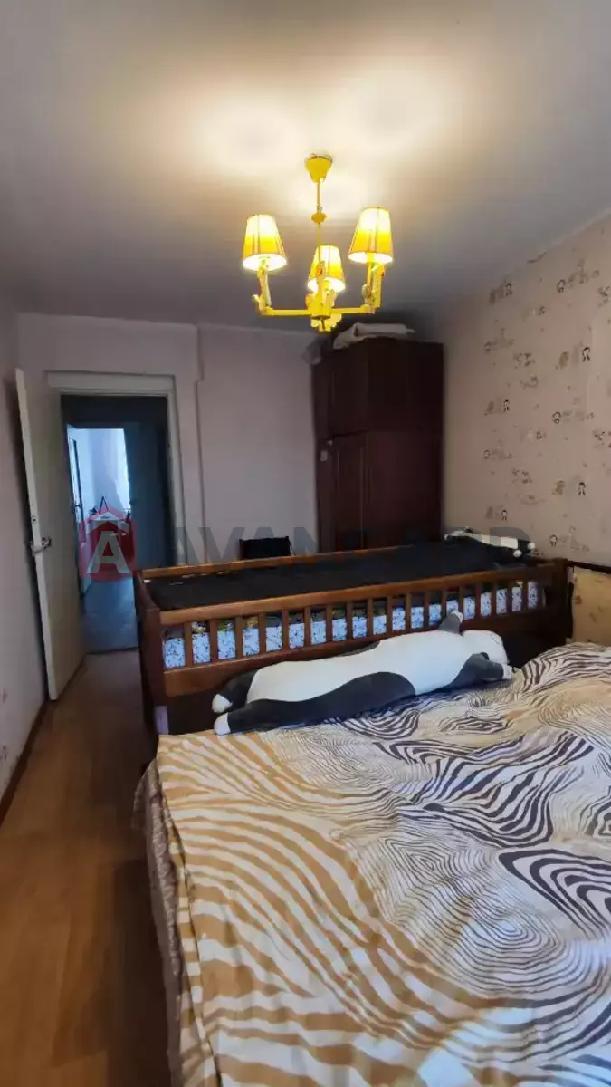 3 ��. ��������, 63/-/8 ��. �., 9/9 ������ ���� 4