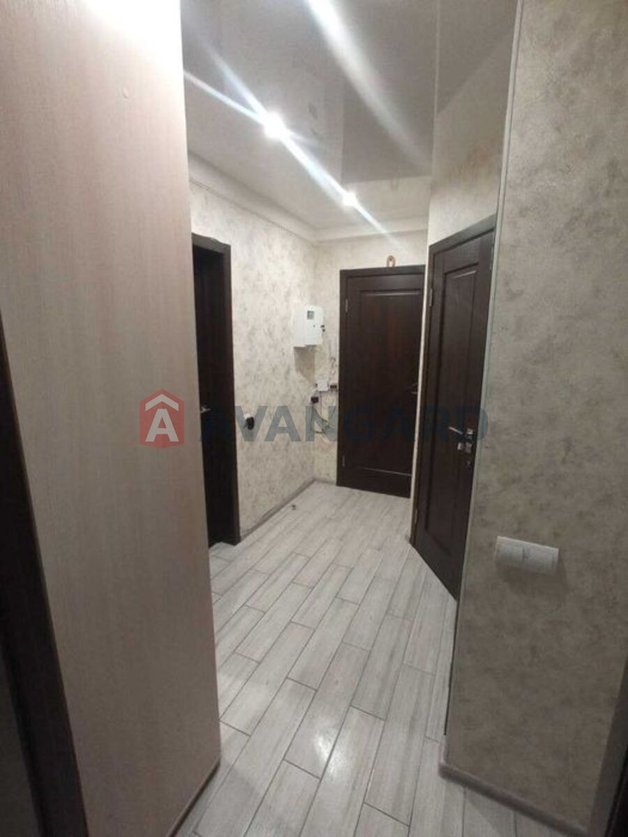 3 ����. ��������, 54/-/6 ��. �., 2/5 ���� ���� 10