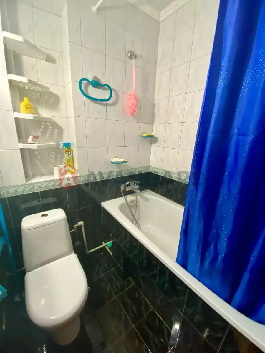 1 . , 31/-/- . ., 5/5   10