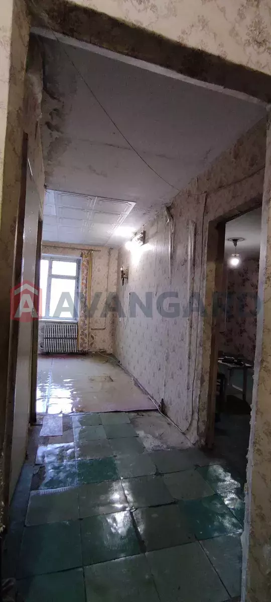 3 ��. ��������, 77/51/9 ��. �., 1/12 ������ ���� 9