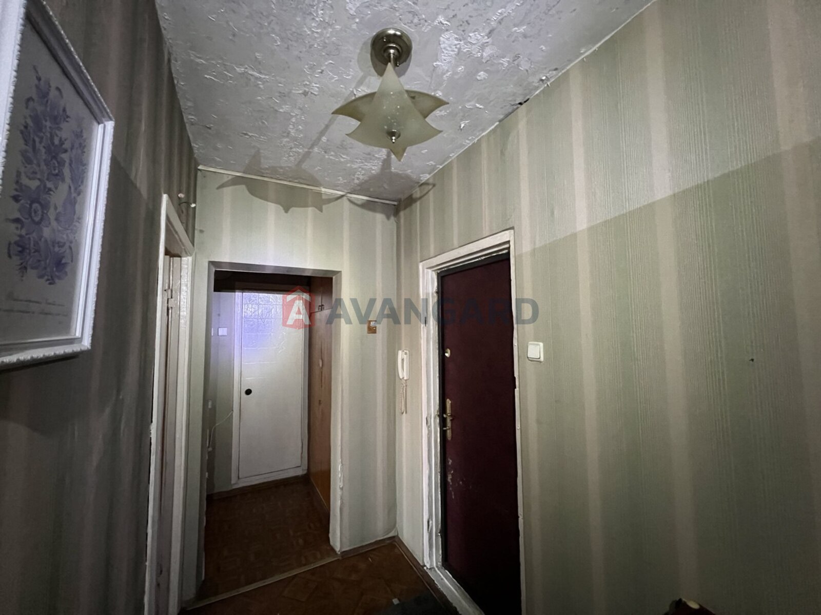 2 ����. ��������, 51.7/30.9/8 ��. �., 10/10 ���� ���� 8