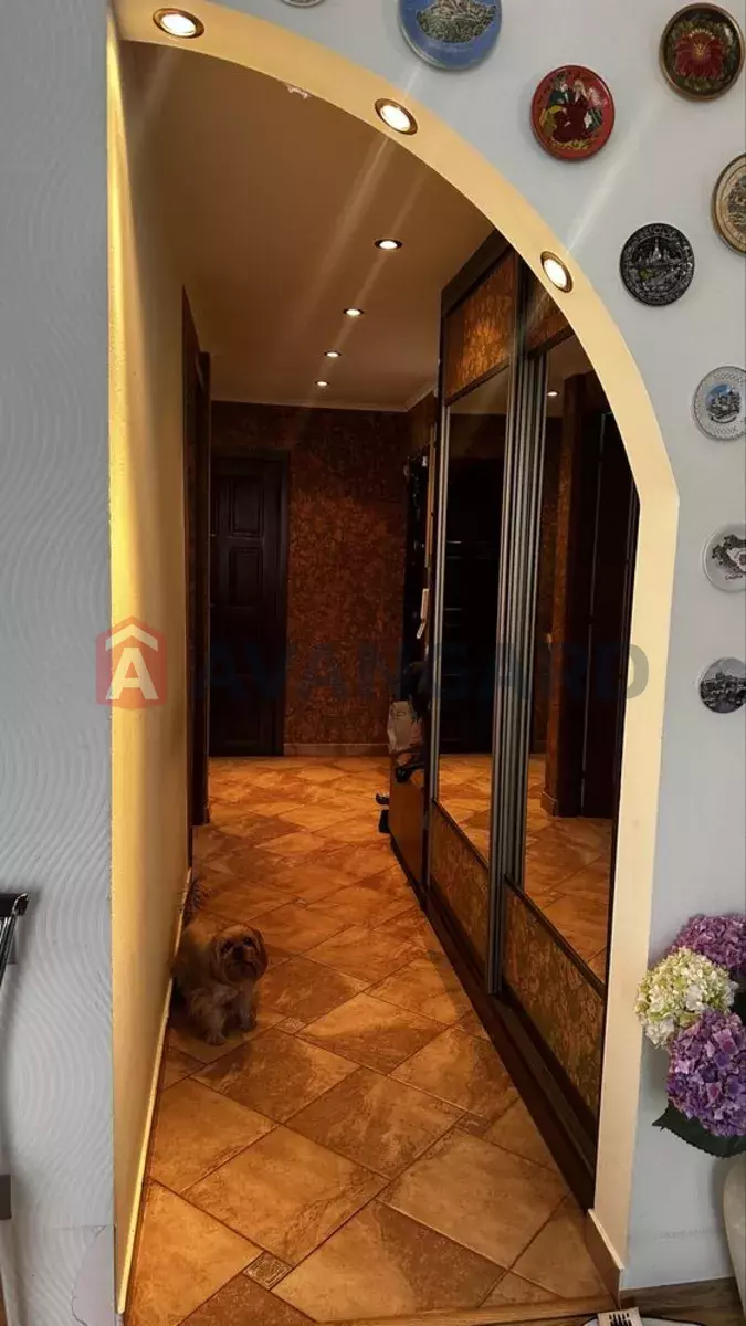 3 ����. ��������, 60/-/12 ��. �., 6/10 ���� ���� 16