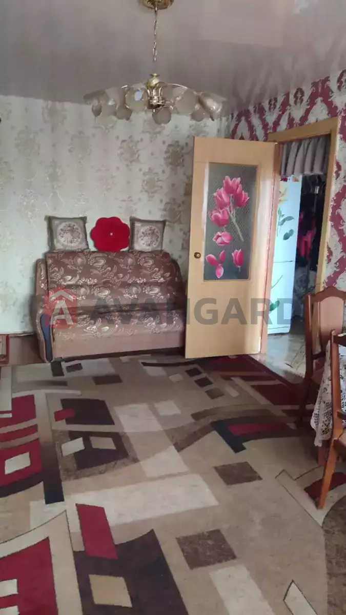 3 ��. ��������, 58/43/6 ��. �., 5/5 ������ ���� 16