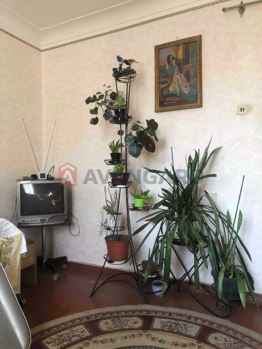 2 ��. ��������, 50/-/6 ��. �., 2/2 ������ ���� 5