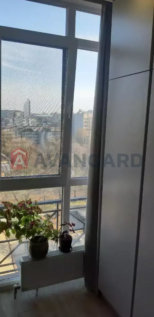 3 . , 82/-/16 . ., 10/12   7