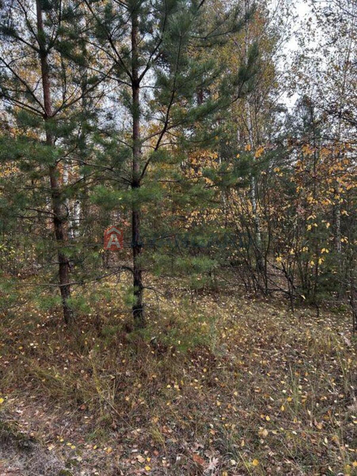 2 ��. ��������, 81/-/20 ��. �., 3/6 ������ ���� 8