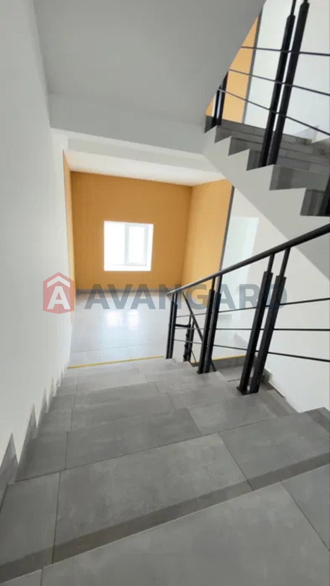 1 ��. ��������, 44/-/16 ��. �., 10/10 ������ ���� 18