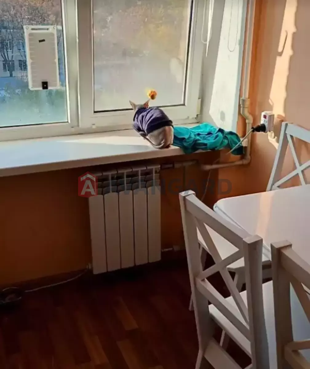 1 . , 36/16/7 . ., 8/9   3