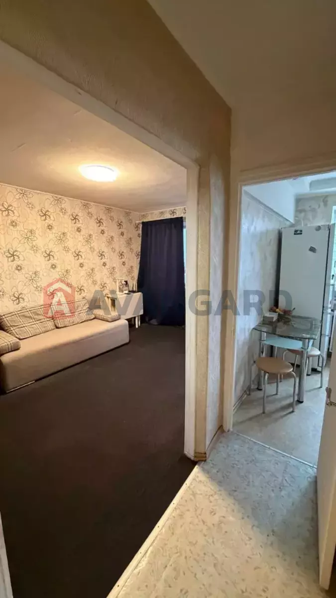 3 ��. ��������, 58/-/- ��. �., 5/5 ������ ���� 8