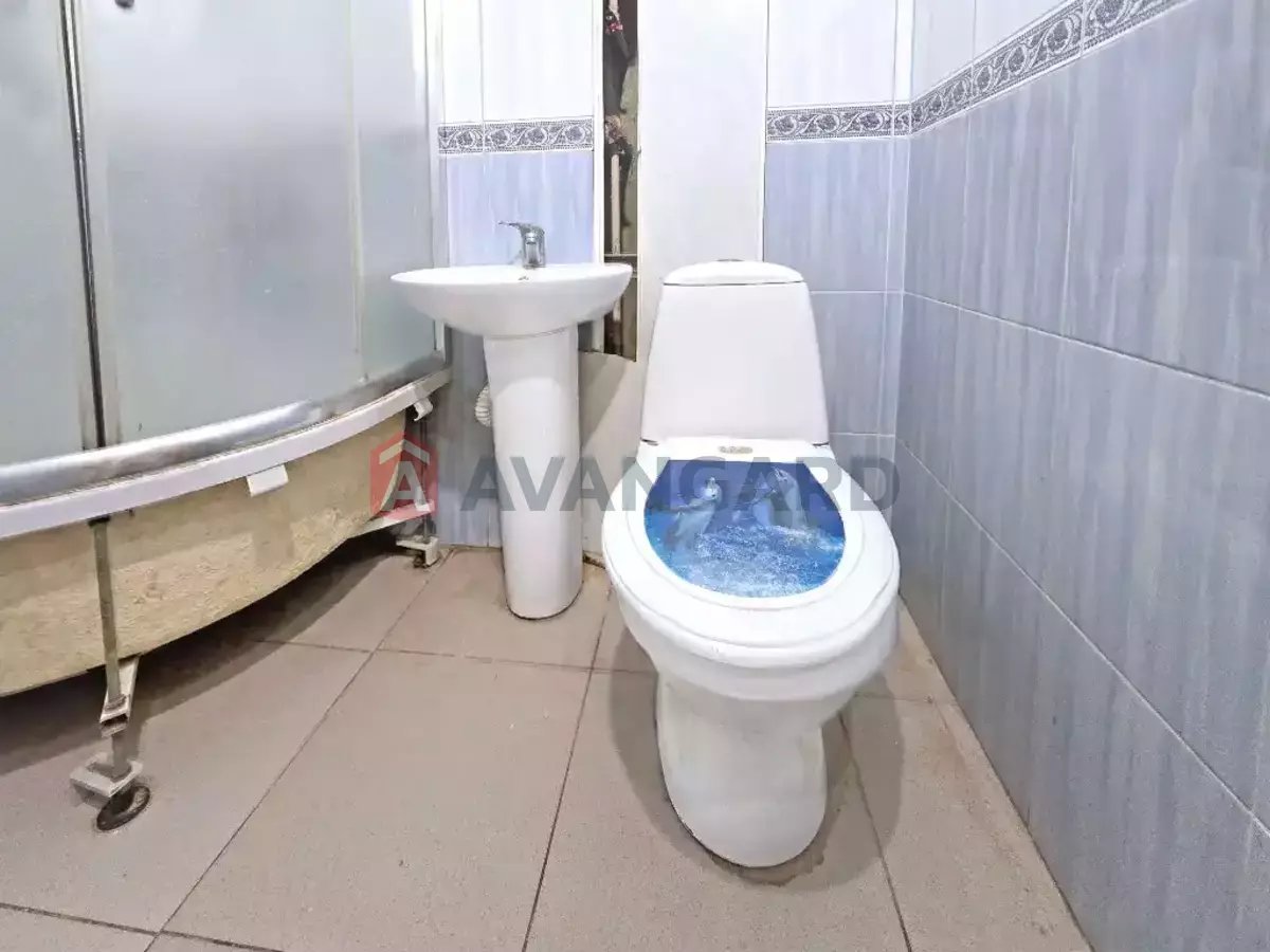 1 ����. ��������, 34/17/7 ��. �., 3/5 ���� ���� 6