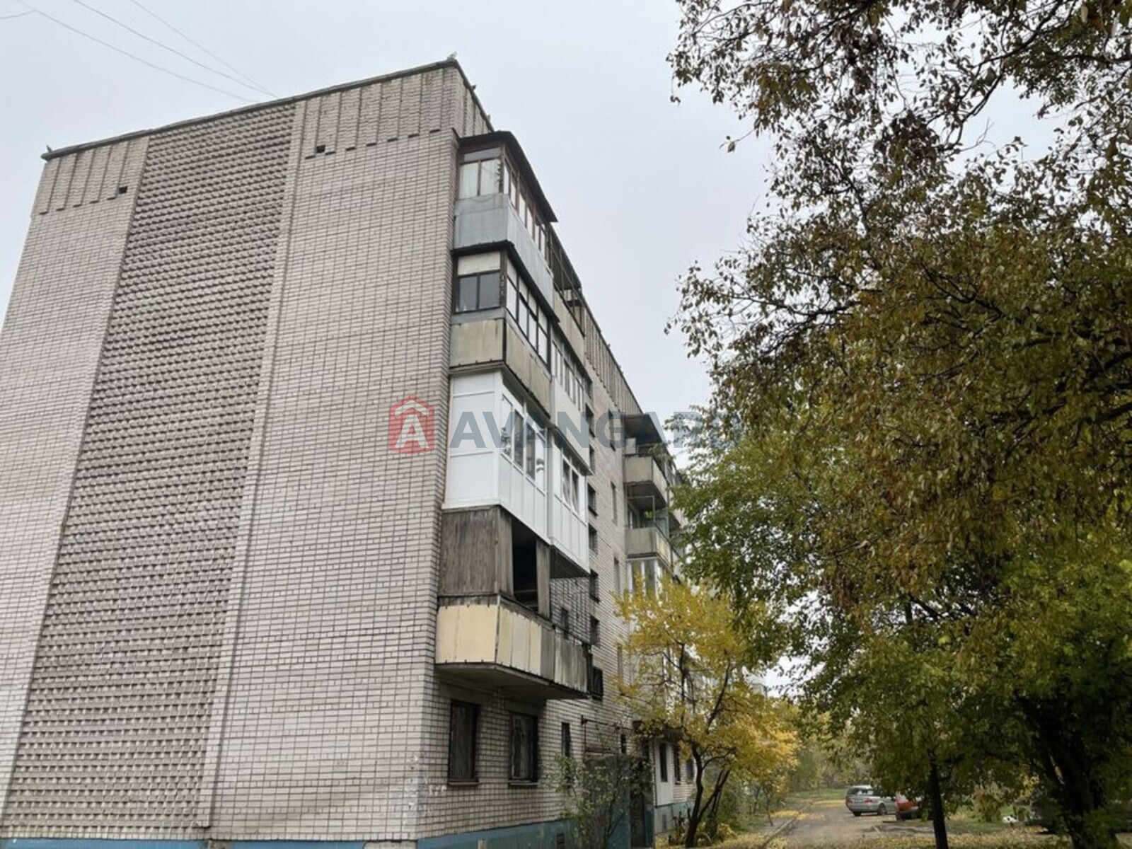 1 ��. ��������, 34/-/5 ��. �., 5/5 ������ ���� 1