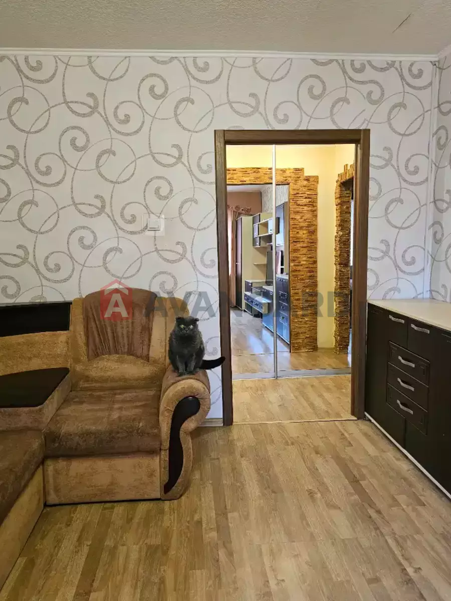 3 . , 65/38/10 . ., 6/9   7