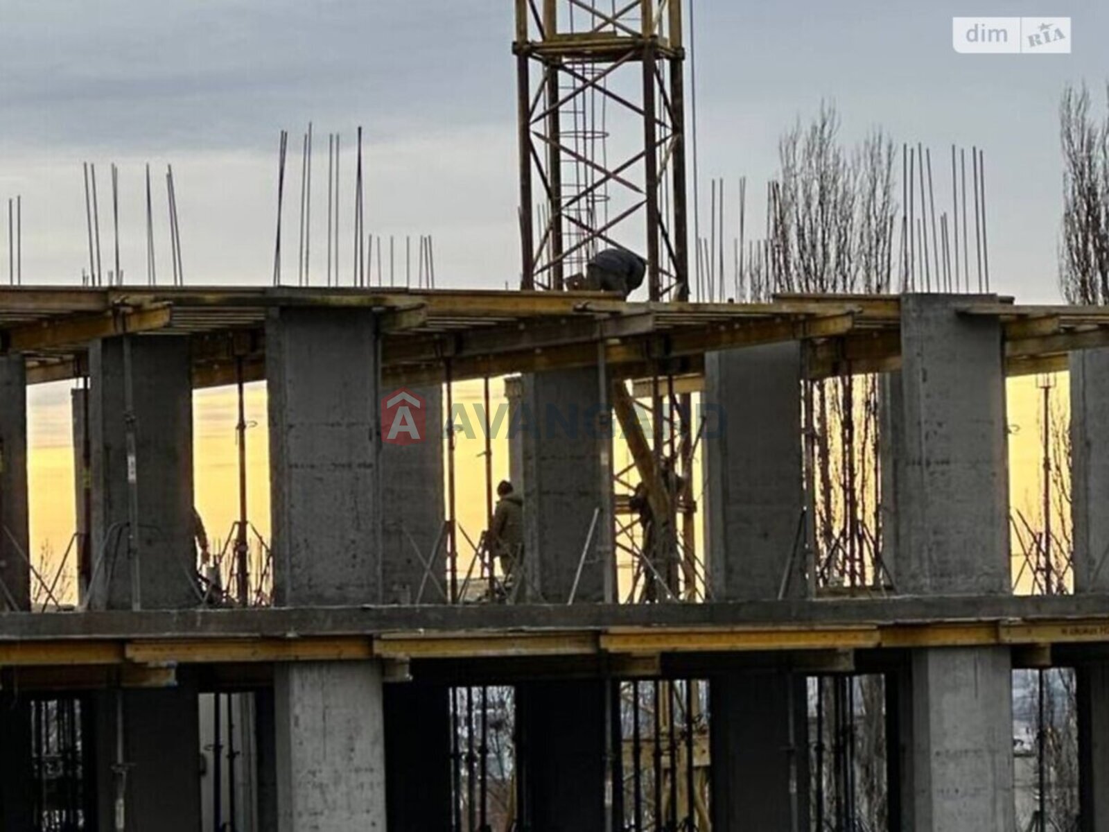 4 ��. ��������, 133/-/- ��. �., 9/10 ������ ���� 9