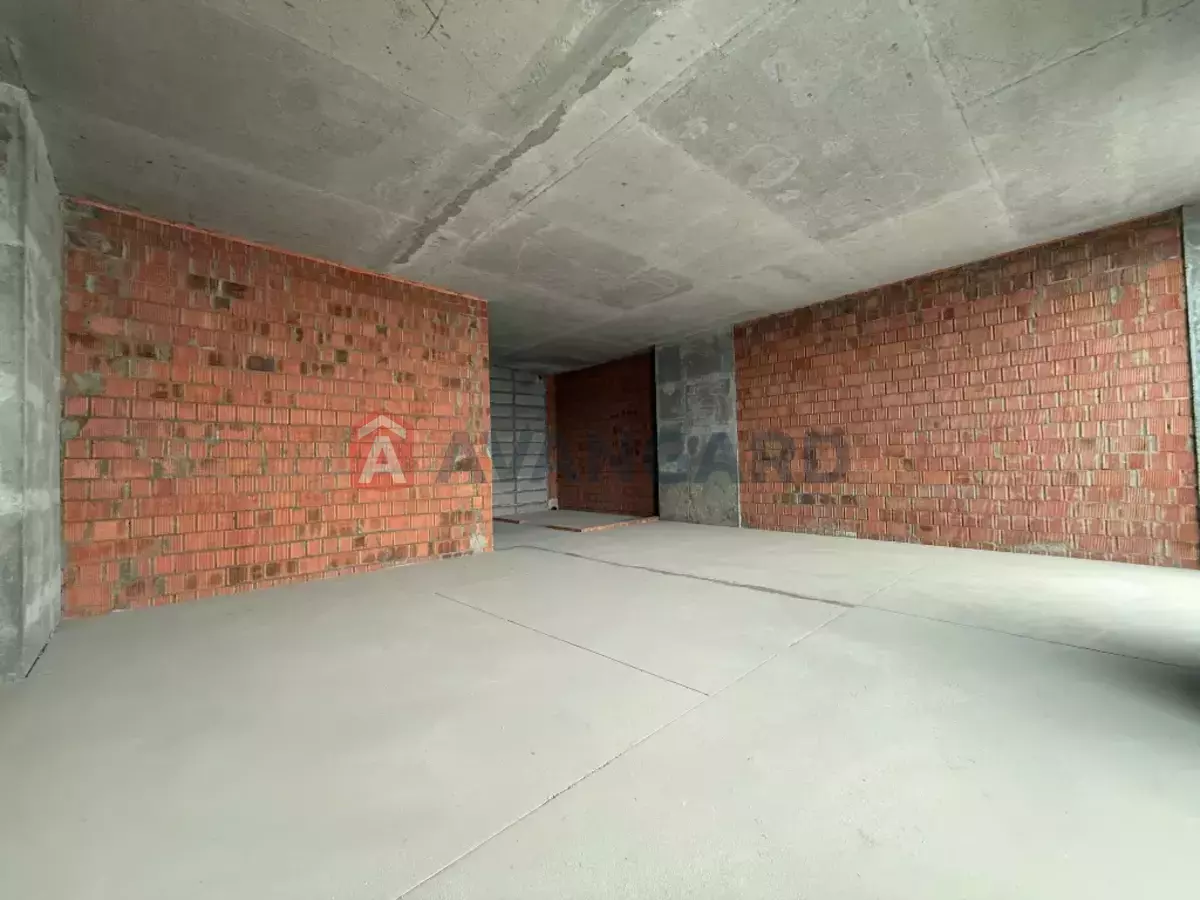 2 . , 51/-/15 . ., 12/36   12