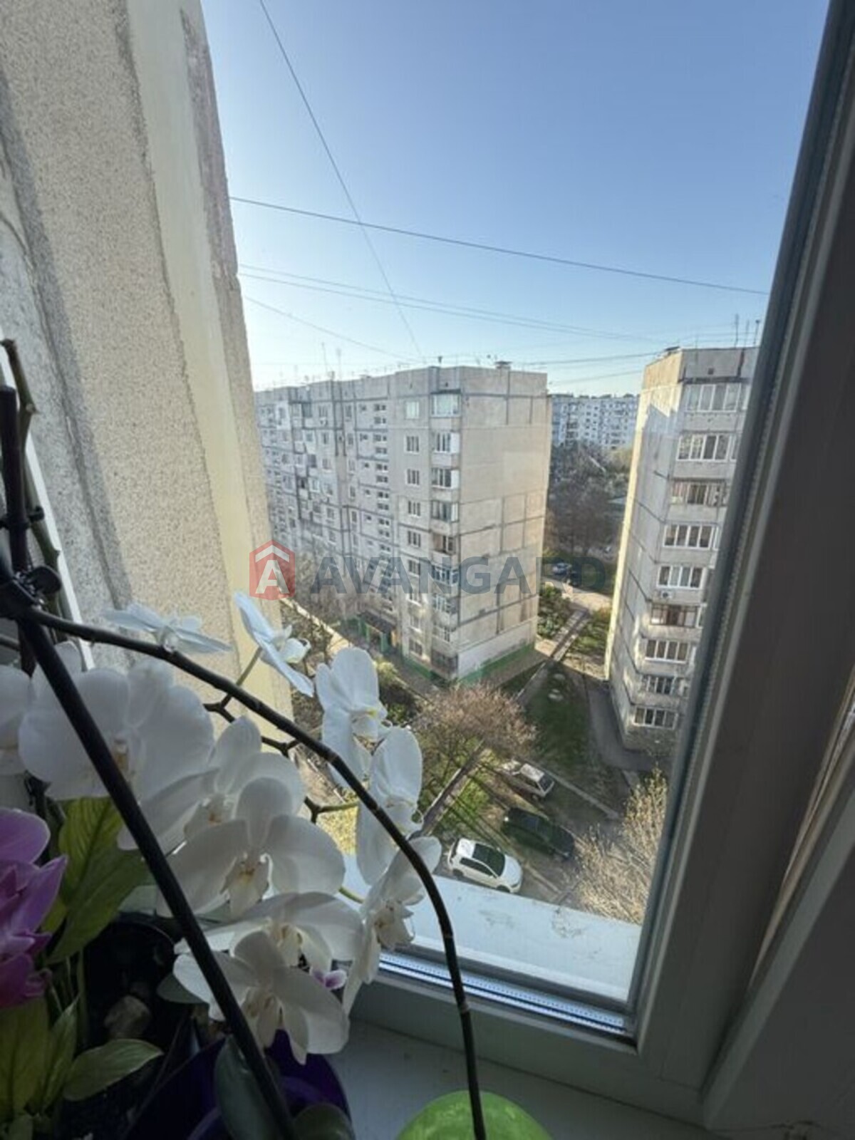 3 ��. ��������, 62/-/9 ��. �., 9/9 ������ ���� 19