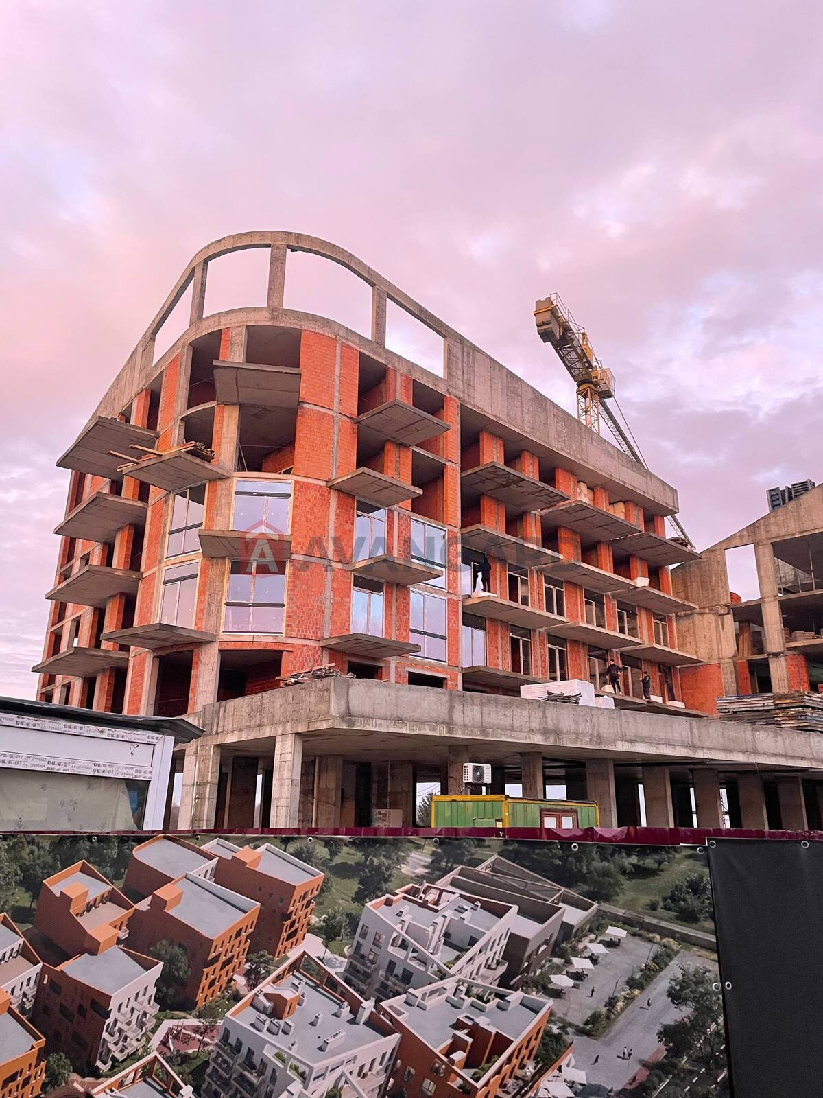 1 . , 49.41/-/17,46 . ., 2/6   2