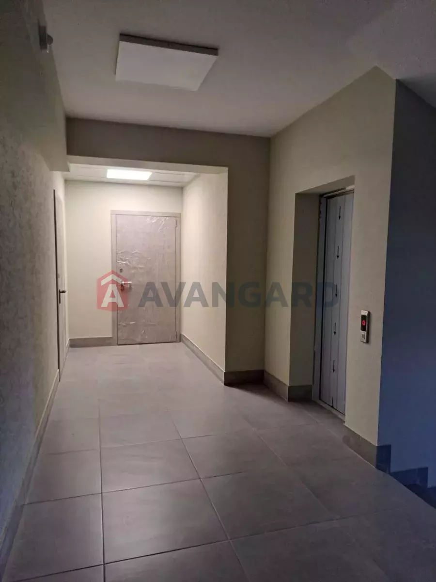 1 ��. ��������, 56/-/20 ��. �., 5/10 ������ ���� 5