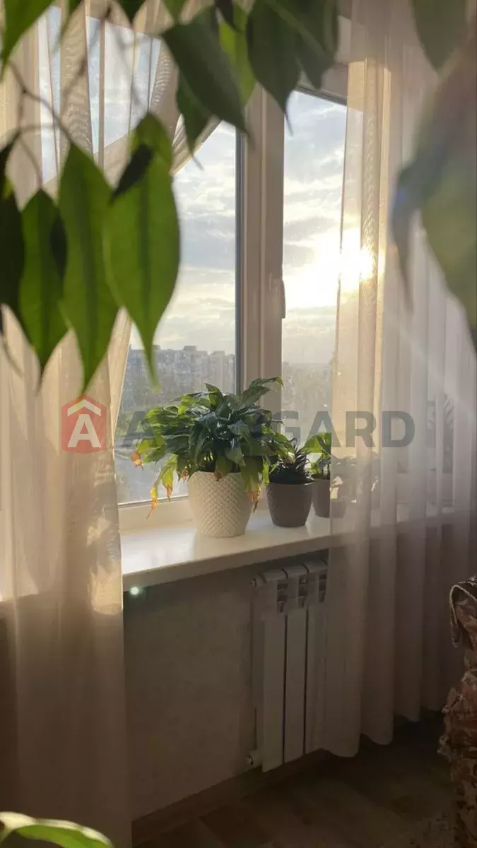 2 ��. ��������, 53/-/7 ��. �., 8/9 ������ ���� 16