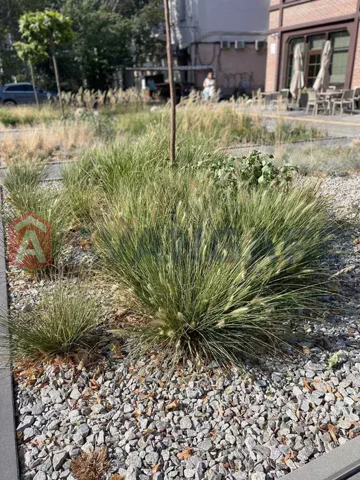 1 ��. ��������, 36/15/8 ��. �., 1/5 ������ ���� 4