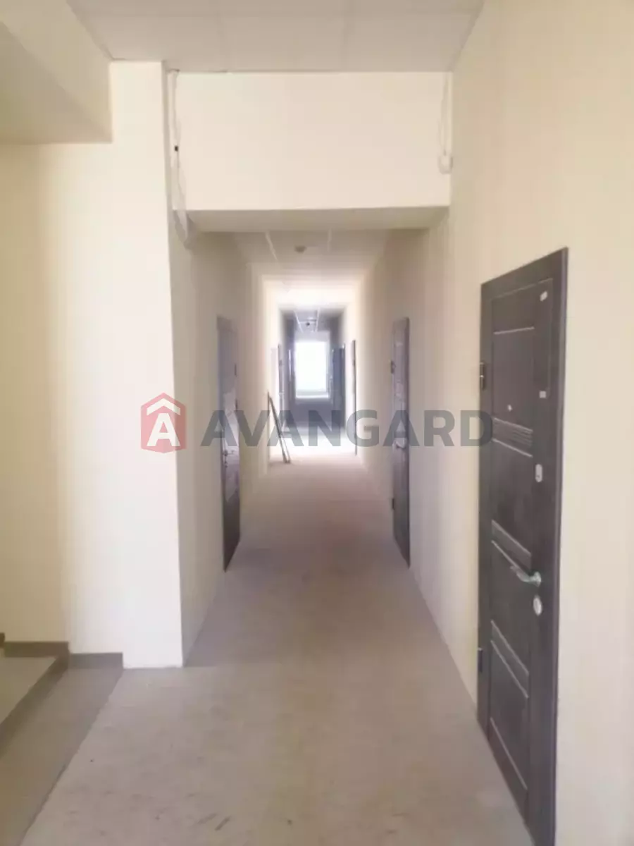 1 ��. ��������, 18/18/- ��. �., 2/3 ������ ���� 12