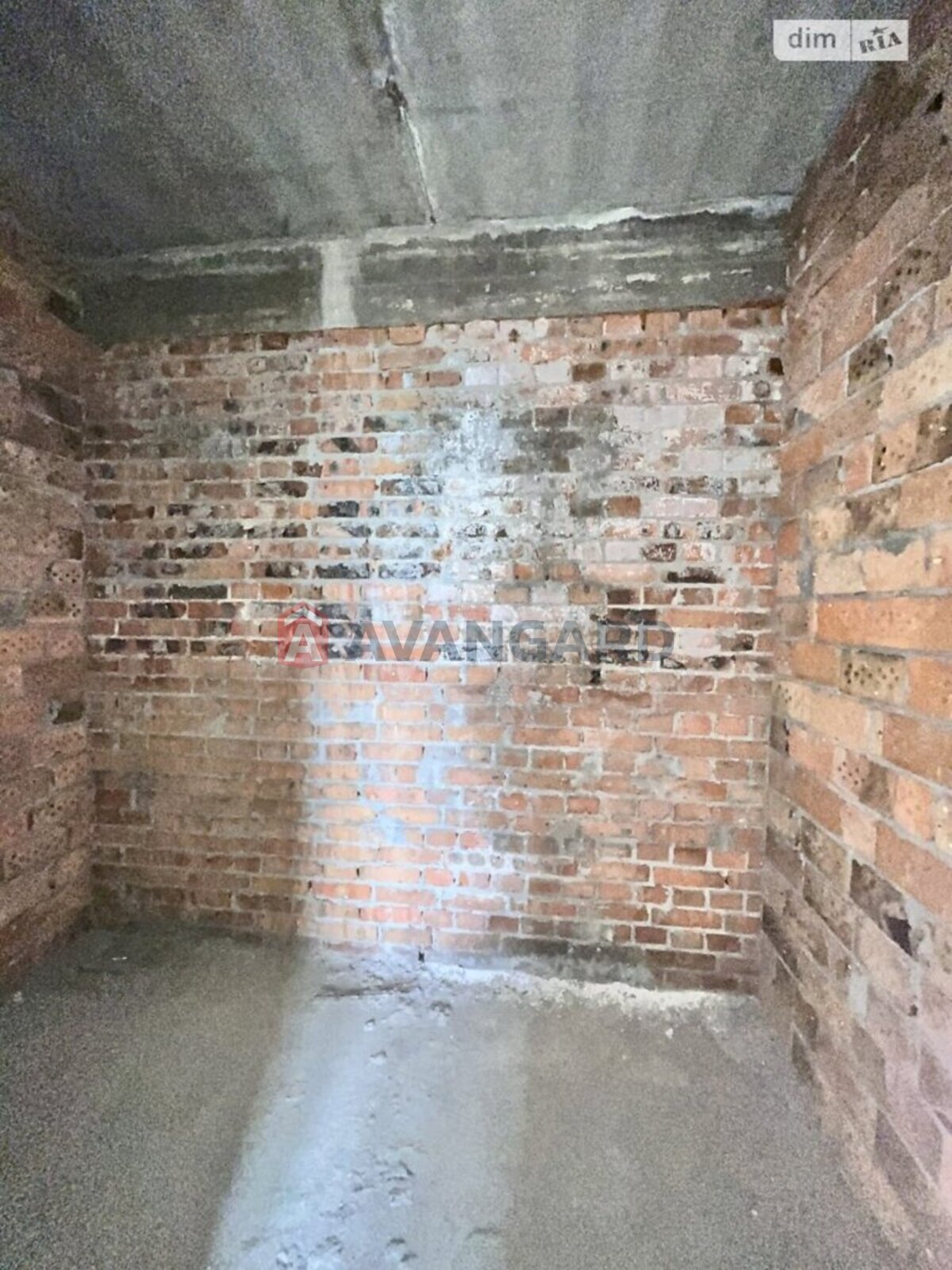 2 ��. ��������, 54/-/- ��. �., 10/10 ������ ���� 5