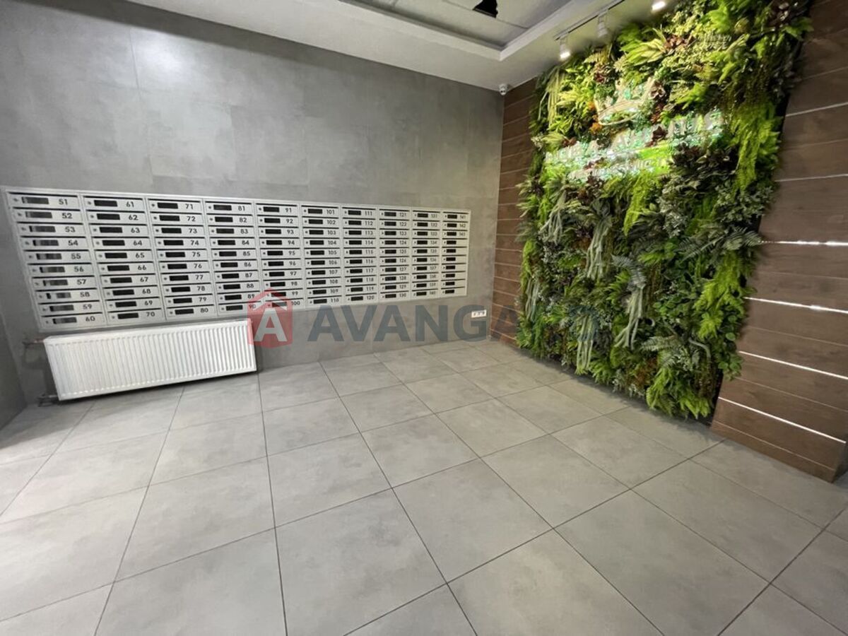 2 ����. ��������, 60/-/16 ��. �., 11/19 ���� ���� 1