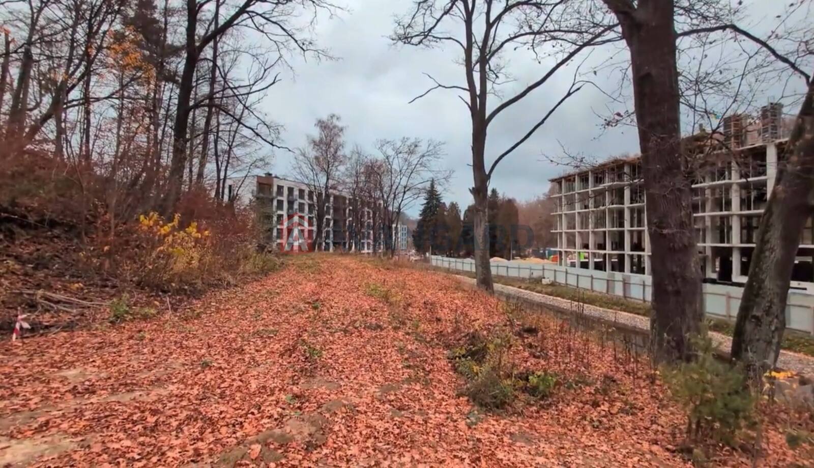 3 . , 76.3/42.2/15.4 . ., 2/5   1