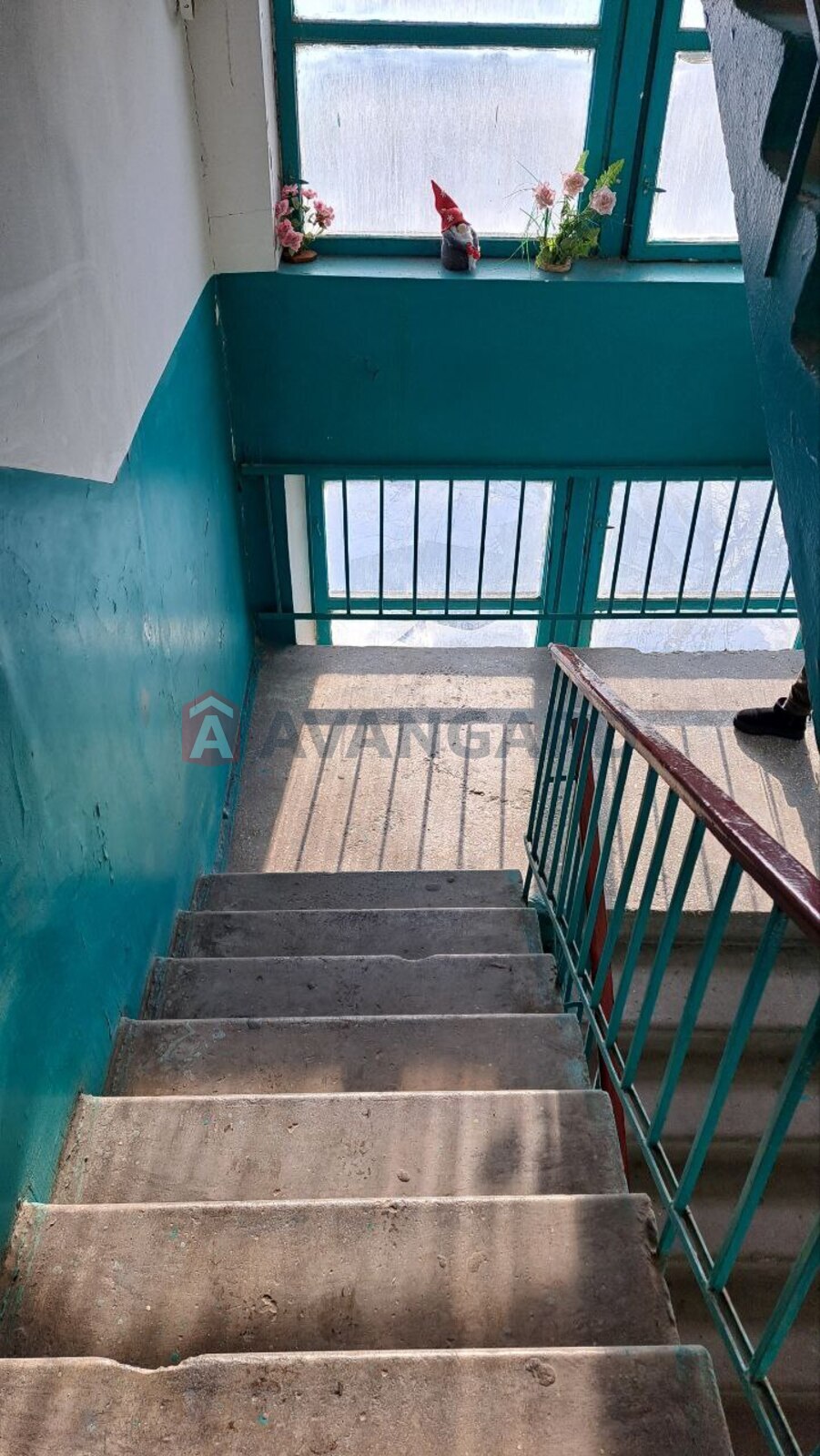 3 ��. ��������, 67/-/8 ��. �., 6/9 ������ ���� 15