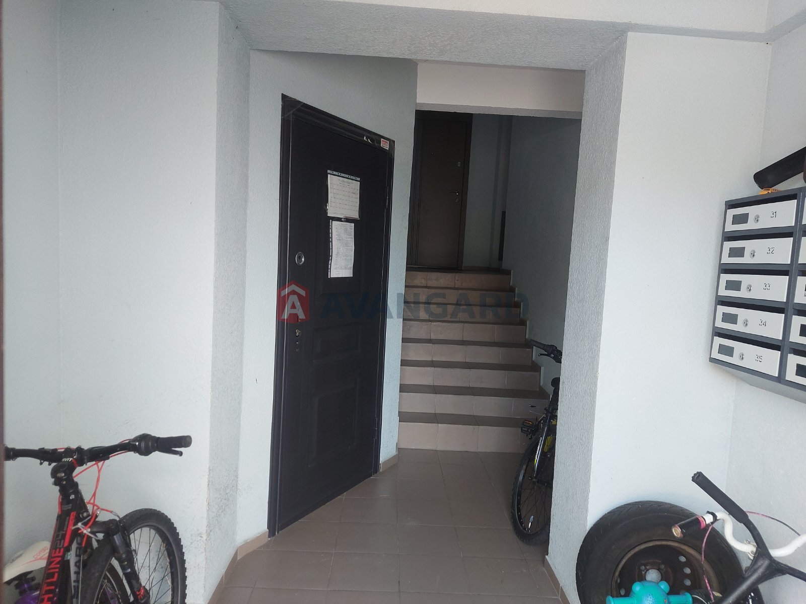 3 . , 84/-/7 . ., 5/5   14