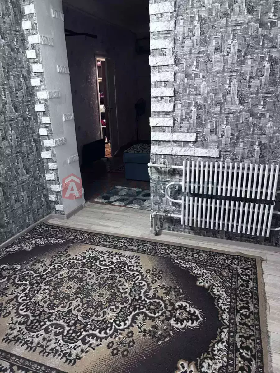 2 ����. ��������, 51/-/5 ��. �., 1/1 ���� ���� 15