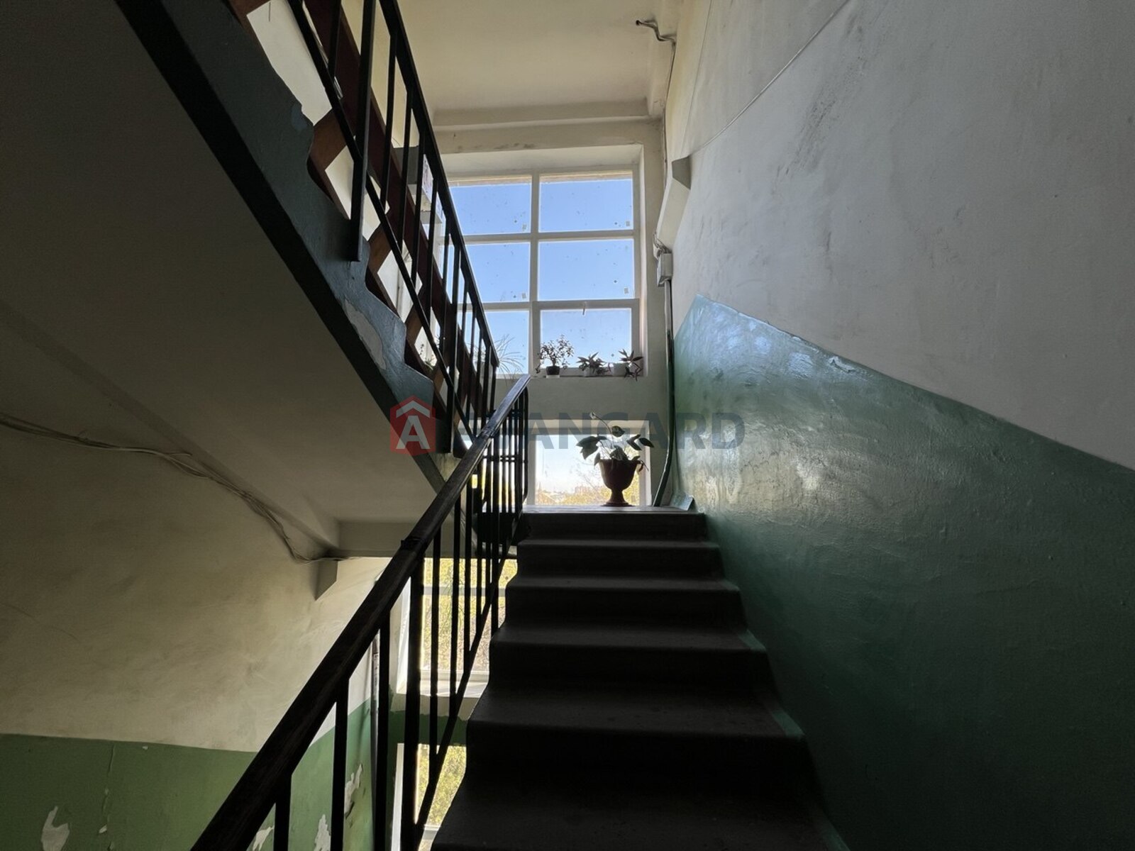 1 ����. ��������, 30/-/7 ��. �., 5/5 ���� ���� 16