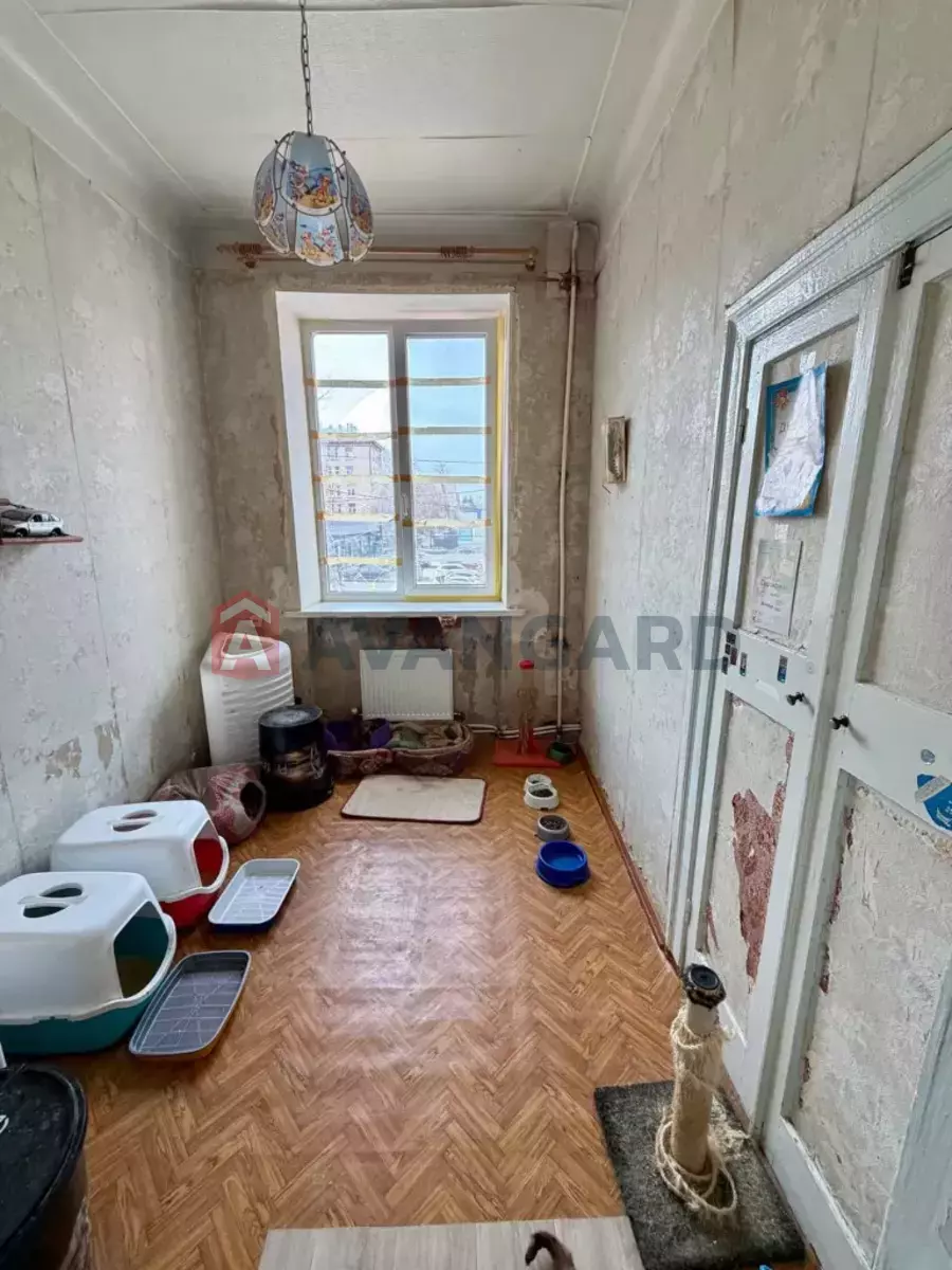 3 ��. ��������, 68/42/8 ��. �., 2/4 ������ ���� 15