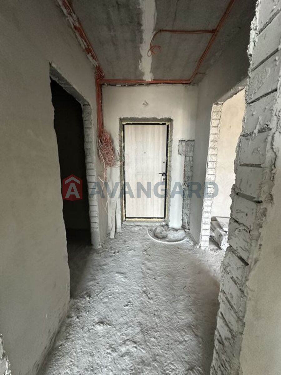 1 . , 45/-/19 . ., 2/8   3