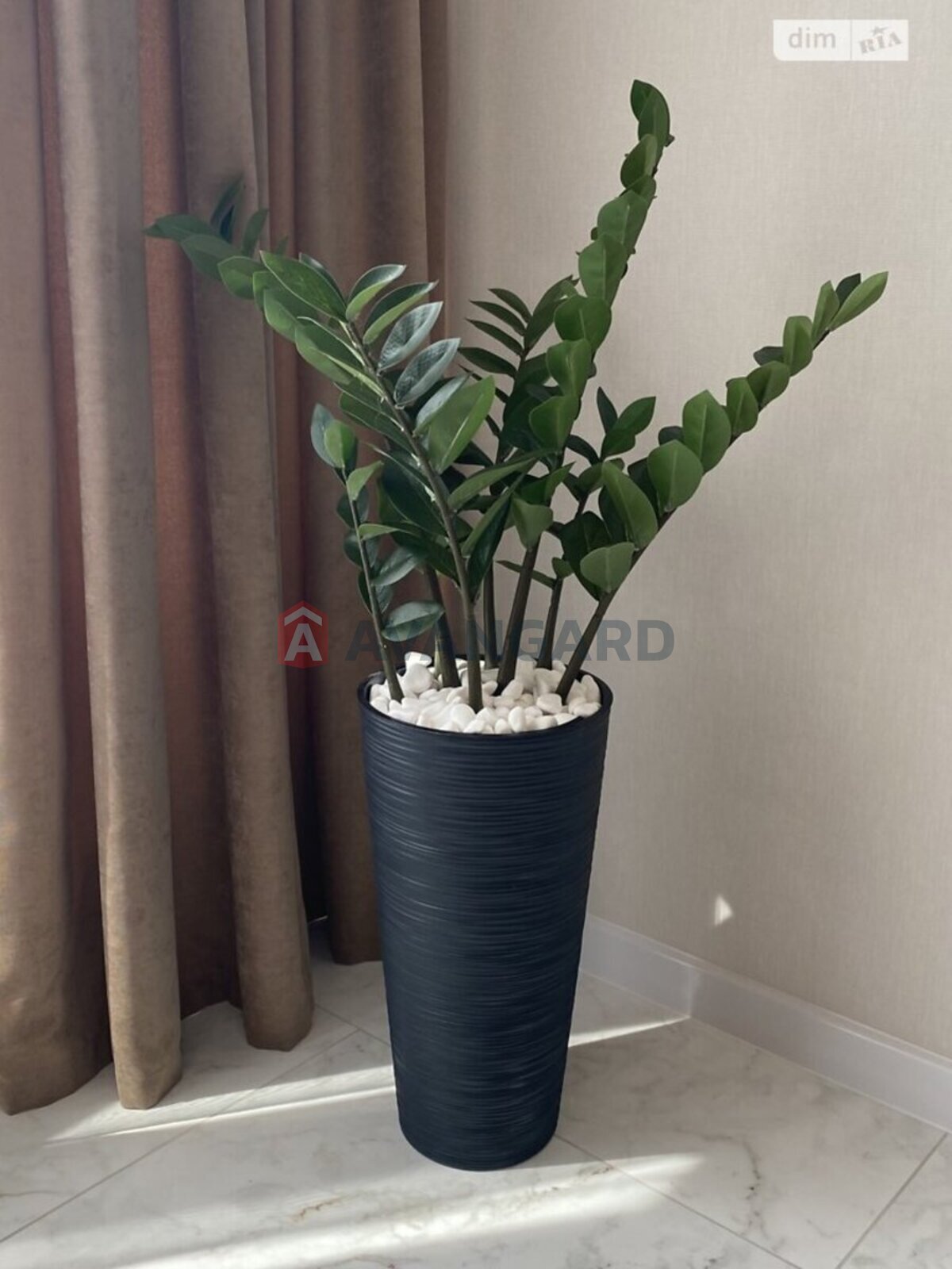 1 ��. ��������, 48/24/20 ��. �., 12/16 ������ ���� 8