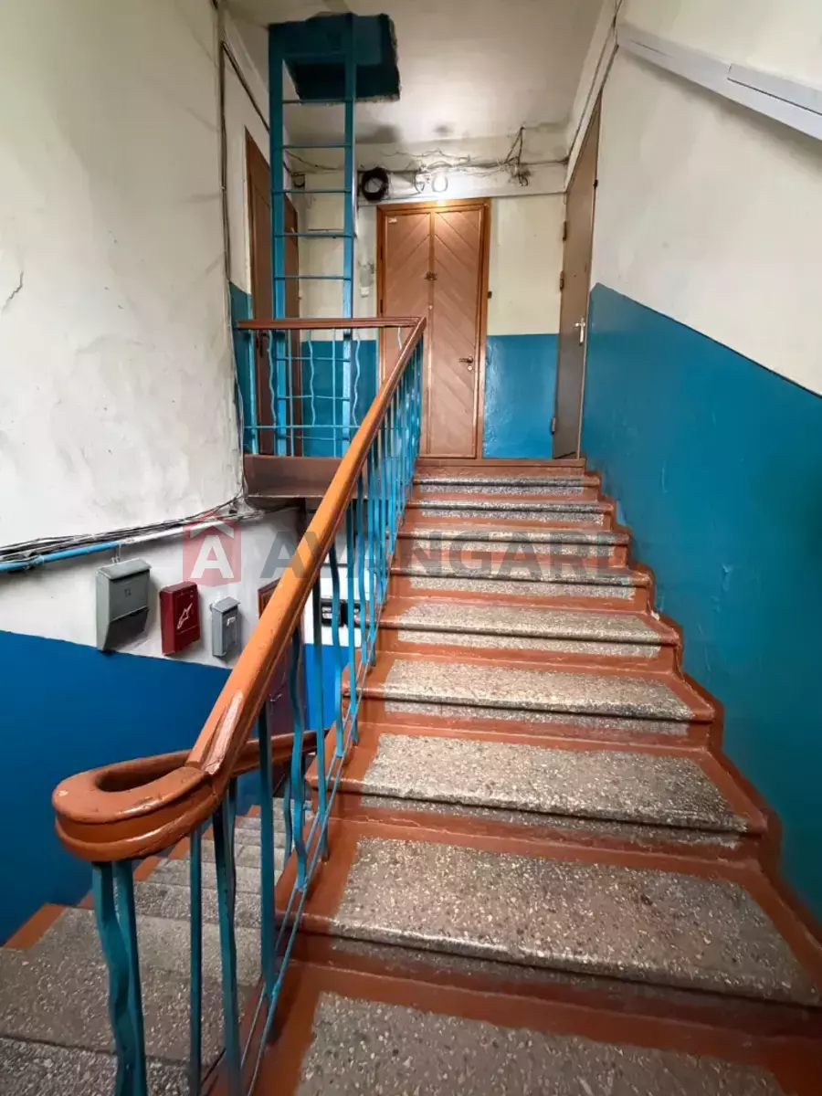 2 ��. ��������, 52/-/- ��. �., 2/2 ������ ���� 16