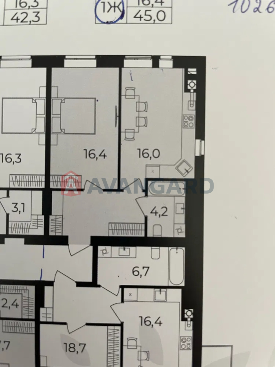 1 ��. ��������, 46/-/16 ��. �., 10/10 ������ ���� 2