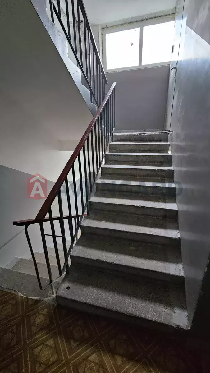 3 ��. ��������, 65/-/9 ��. �., 7/9 ������ ���� 6