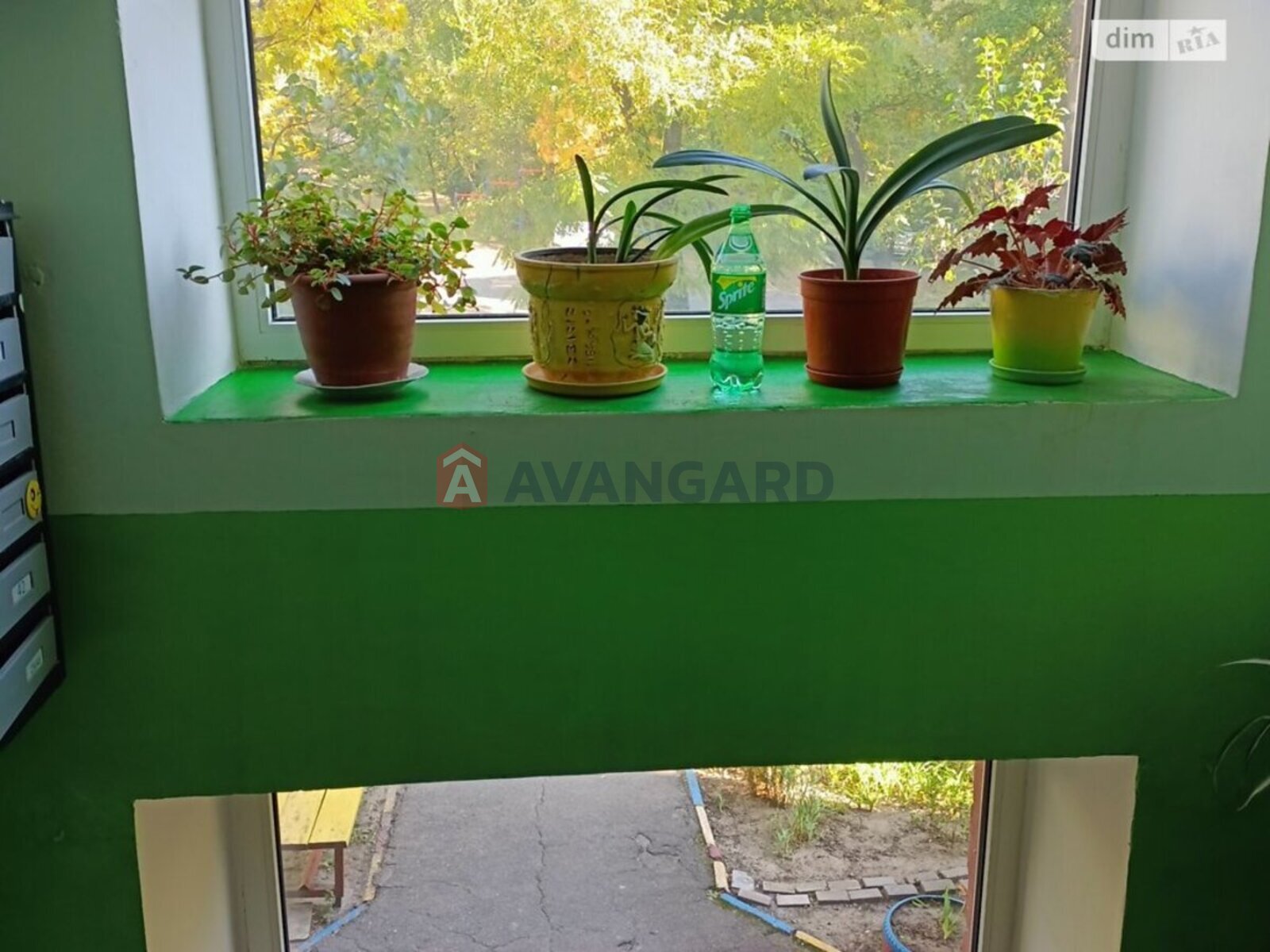 2 . , 53/-/6 . ., 2/6   10