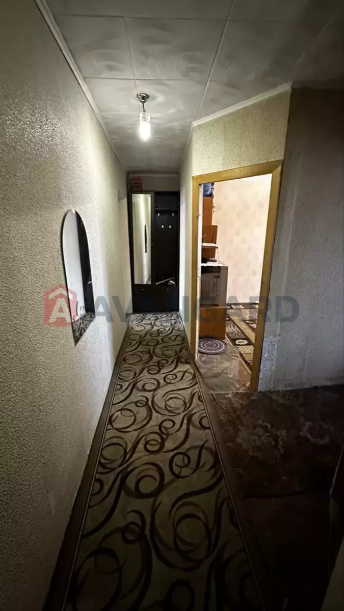 2 ����. ��������, 41/-/6 ��. �., 3/3 ���� ���� 12