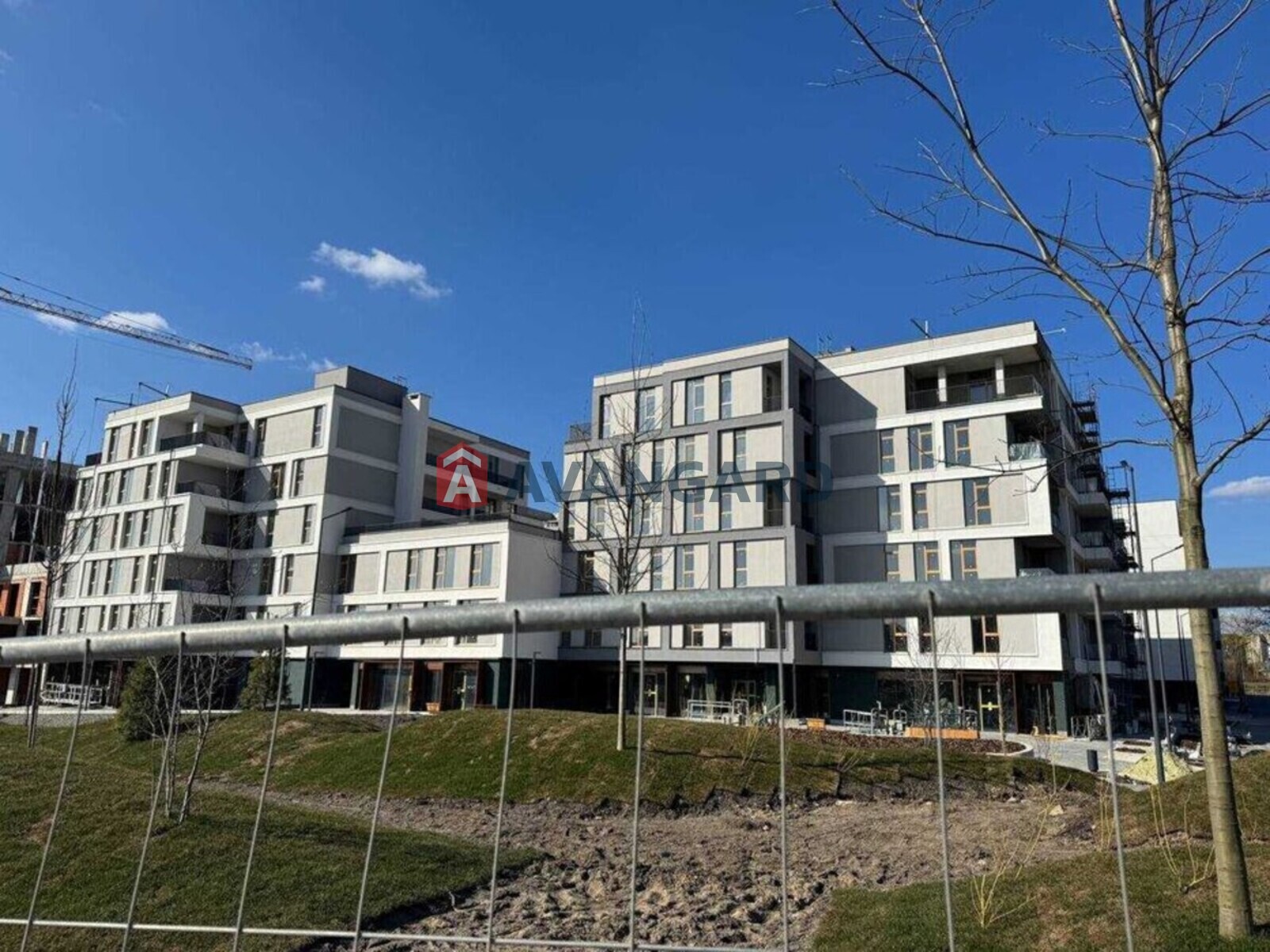 1 ��. ��������, 46/-/17 ��. �., 1/5 ������ ���� 12