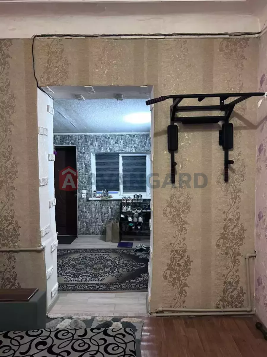 2 ����. ��������, 51/-/5 ��. �., 1/1 ���� ���� 8