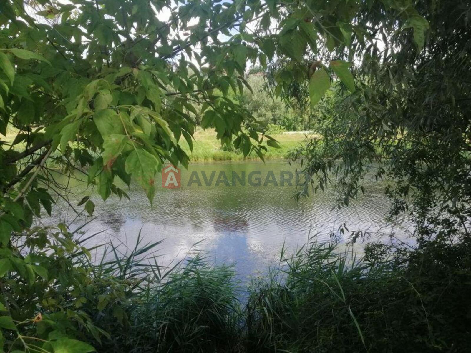 2 ��. ��������, 56/-/11 ��. �., 4/26 ������ ���� 11