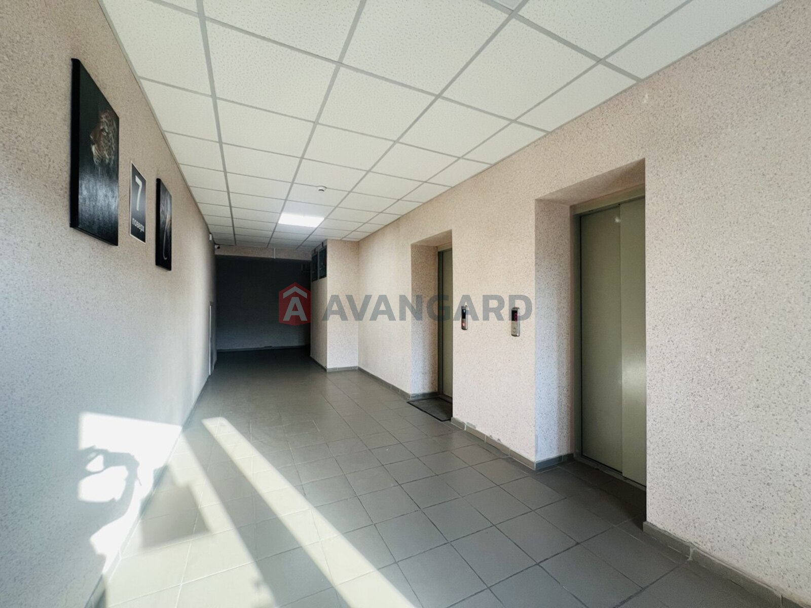 3 ��. ��������, 70,5/30/25 ��. �., 7/16 ������ ���� 7