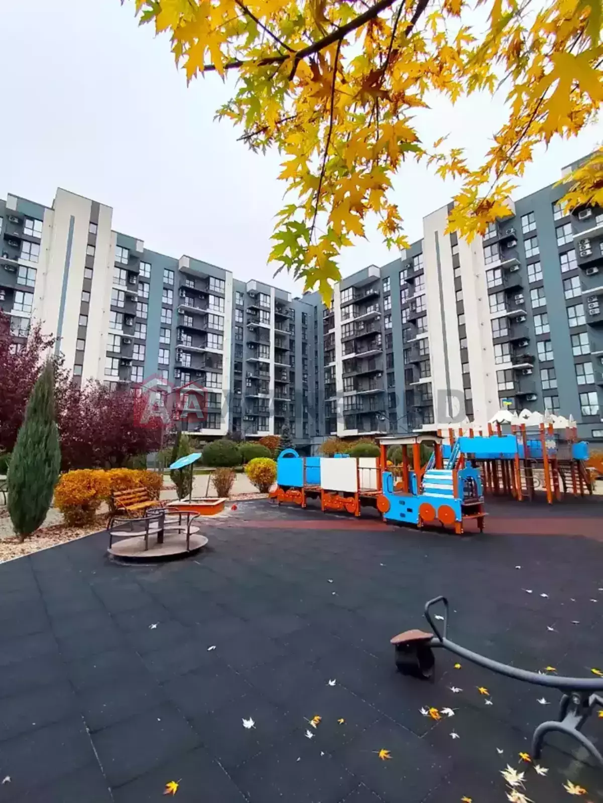 2 ��. ��������, 77/-/- ��. �., 9/9 ������ ���� 19