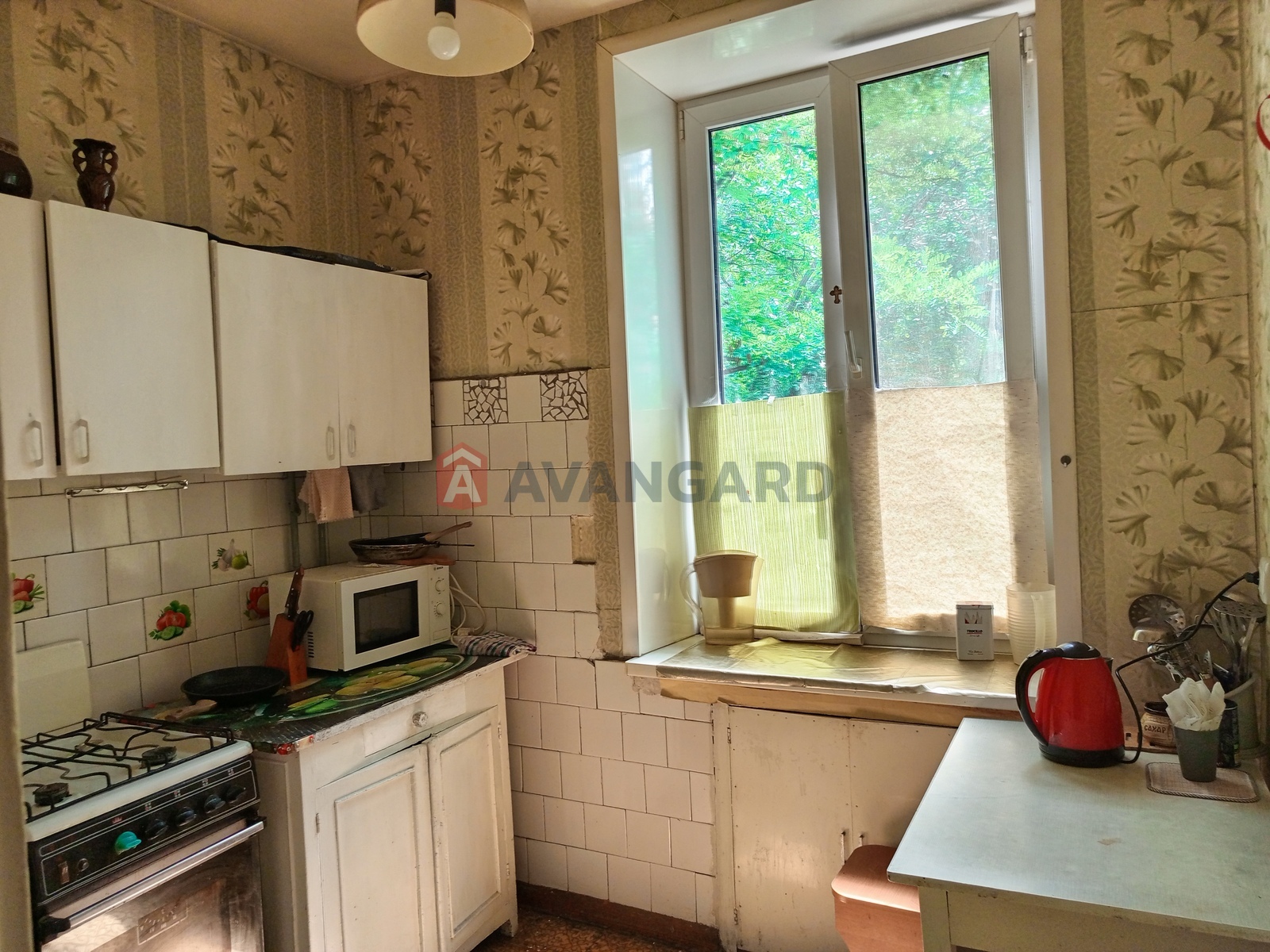 2 . , 48.9/31/5.7 . ., 3/3   12