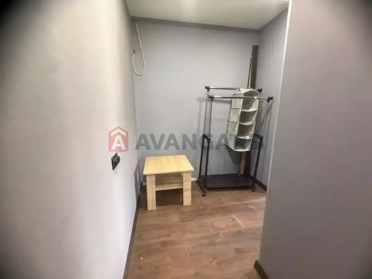 1 ��. ��������, 31/-/- ��. �., 5/5 ������ ���� 3