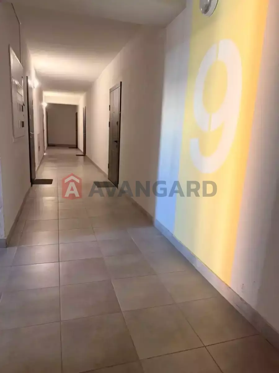 3 ��. ��������, 75/-/- ��. �., 9/10 ������ ���� 5